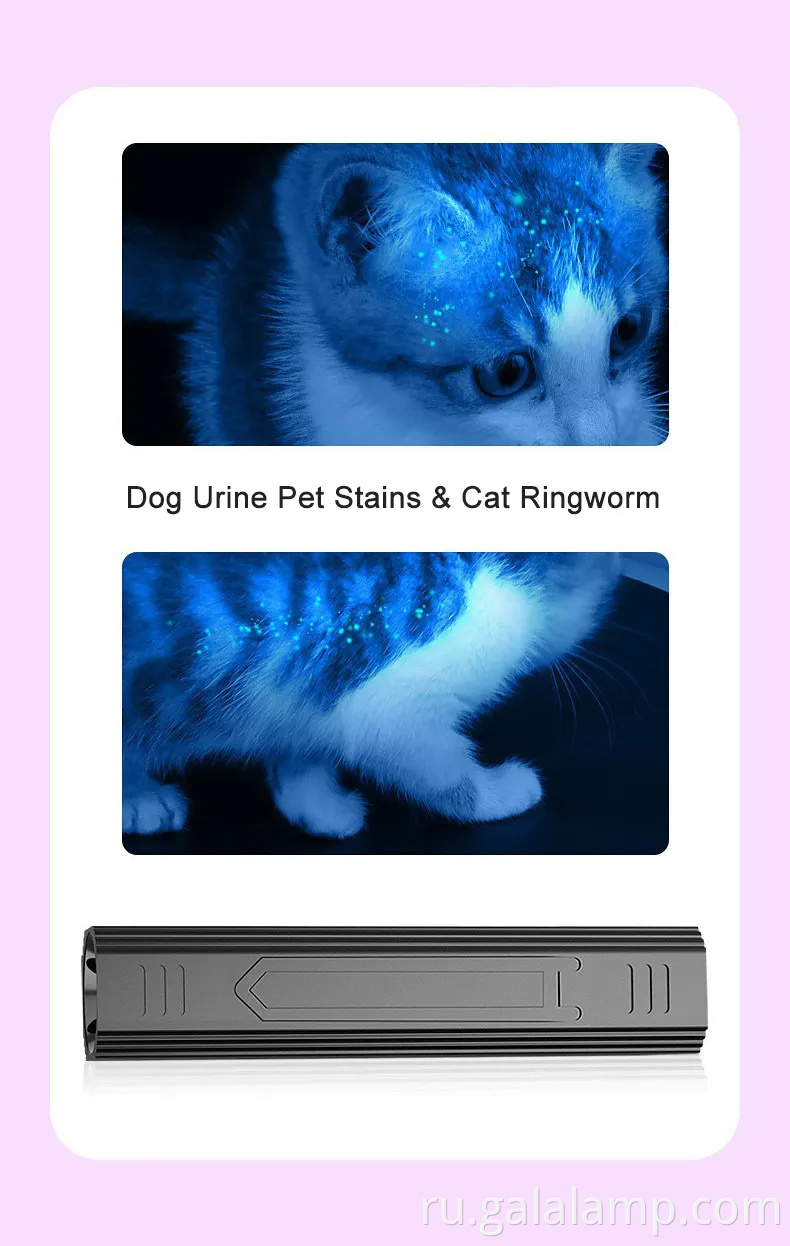 Портативный 365 -нм УФ -фонарик с перезаряжаемым черным светом и 5 режимами